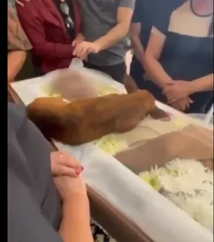 [Vídeo] Cachorro percorre 12km até enterro do dono para se despedir
