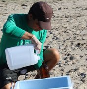 Amostras de trechos de praias de AL indicam águas livres de contaminação