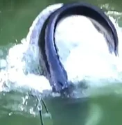 Pescador filma encontro com peixe comparado ao monstro do Lago Ness