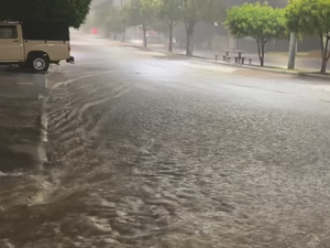Chuvas provocam alagamentos, arrastam carro e deixam ponte sob risco em Delmiro Gouveia