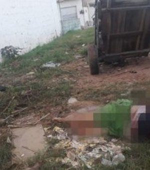 Identificado homem morto por espancamento nesta quarta-feira, em Campo Alegre