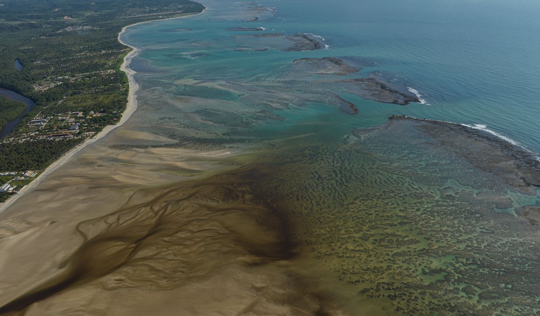 ICMBio Costa dos Corais alerta sobre possível Maré vermelha na região norte de Alagoas