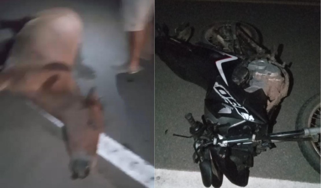 Mulher morre após colisão entre moto e cavalo solto na pista em Colônia de Leopoldina