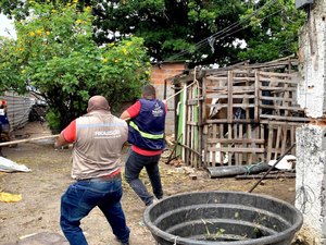 Demolição de barracos esvaziados no Vergel do Lago acontece com auxílio de Semsc