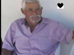 Idoso de 86 anos morre após queda de cavalo