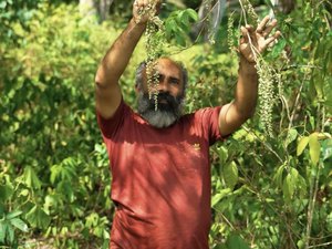 Produção agroecológica em Maceió impulsiona renda, afirma secretário de Agricultura