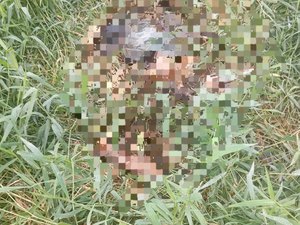 Ossada humana é achada em terreno na zona urbana de Matriz de Camaragibe