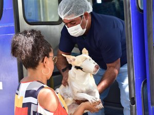 CastraPet abre novo cadastro para esterilização de cães e gatos em Penedo