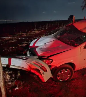 Cavalo solto na pista causa grave acidente na AL-115, em Arapiraca