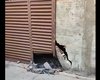 [Vídeo] Explosão em obra de transposição do Rio São Francisco atinge 40 casas