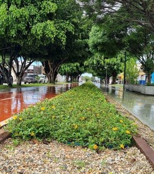 Arapiraca abre consulta pública para construção do Plano de Mobilidade Urbana