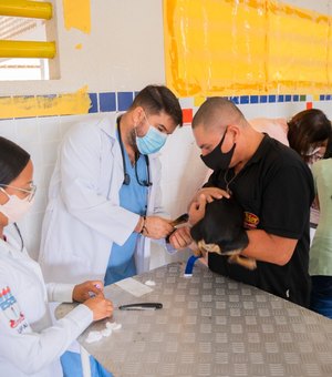 Meu Amigo Pet ultrapassa marca de 800 castrações e se torna o maior programa de saúde animal de Alagoas