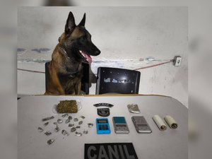 Operação contra o crime organizado em Arapiraca prende suspeitos e apreende drogas e arma