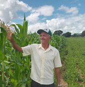 [Vídeo] Agricultores familiares de Igaci se preparam para colheita de grãos após Programa de Aração de Terras