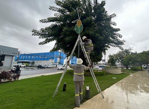 Prefeitura inicia montagem da Vila de São João no Parque do Centenário