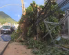 Vendaval deixa rastro de destruição e causa estragos no Rio de Janeiro