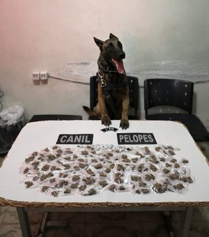 Adolescentes são flagrados com maconha e cocaína nos fundos de uma obra em Arapiraca