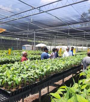 Adeal e produtores de banana de Igreja Nova e Coruripe realizam visita técnica em Sergipe