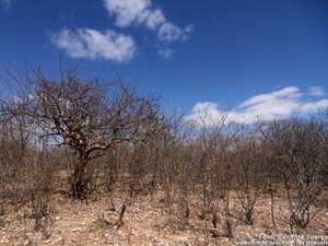 Corte da Operação Pipa provoca escassez de água potável em Alagoas