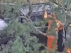 Motorista perde controle de caminhonete e cai em ribanceira na AL-220, em Batalha