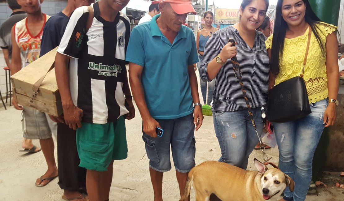 Cadela reencontra lar em Arapiraca depois de ser salva por voluntários