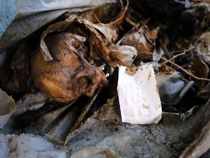 'Abandono de ossadas': direção do IML de Maceió diz que está catalogando e identificando ossos