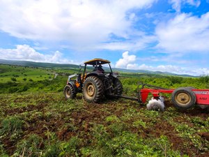 Inscrição para receber sementes gratuitas do Planta Alagoas em Penedo é prorrogada até sexta (15)