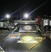 Polícia apreende armas de fogo na zona rural de Colônia Leopoldina