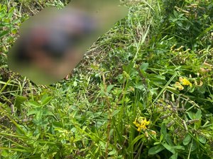Mulher é retirada à força de casa e executada no município de Rio Largo