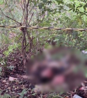 Homem é encontrado morto com rosto mutilado ﻿em Matriz de Camaragibe