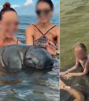 Turistas molestam peixe-boi e colocam criança em cima do animal no Norte de Alagoas