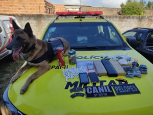 [Vídeo]Operação Maresia prende trio envolvido com tráfico em Piaçabuçu