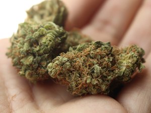 Canadá legaliza maconha para uso recreativo