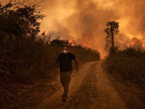 Vivemos uma situação de guerra no Pantanal, diz senador de comissão de queimadas