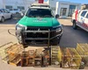 Armas de fogo e centenas de animais silvestres são apreendidos em operações do Batalhão de Polícia Ambiental