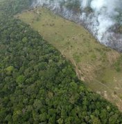 Sete estados já pediram apoio federal para combater incêndios na Amazônia