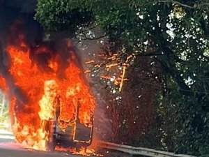 Van com turistas a caminho de Maragogi pega fogo e fica destruída em Pernambuco