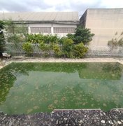 Moradores denunciam piscina abandonada com possível foco do mosquito da dengue em Arapiraca