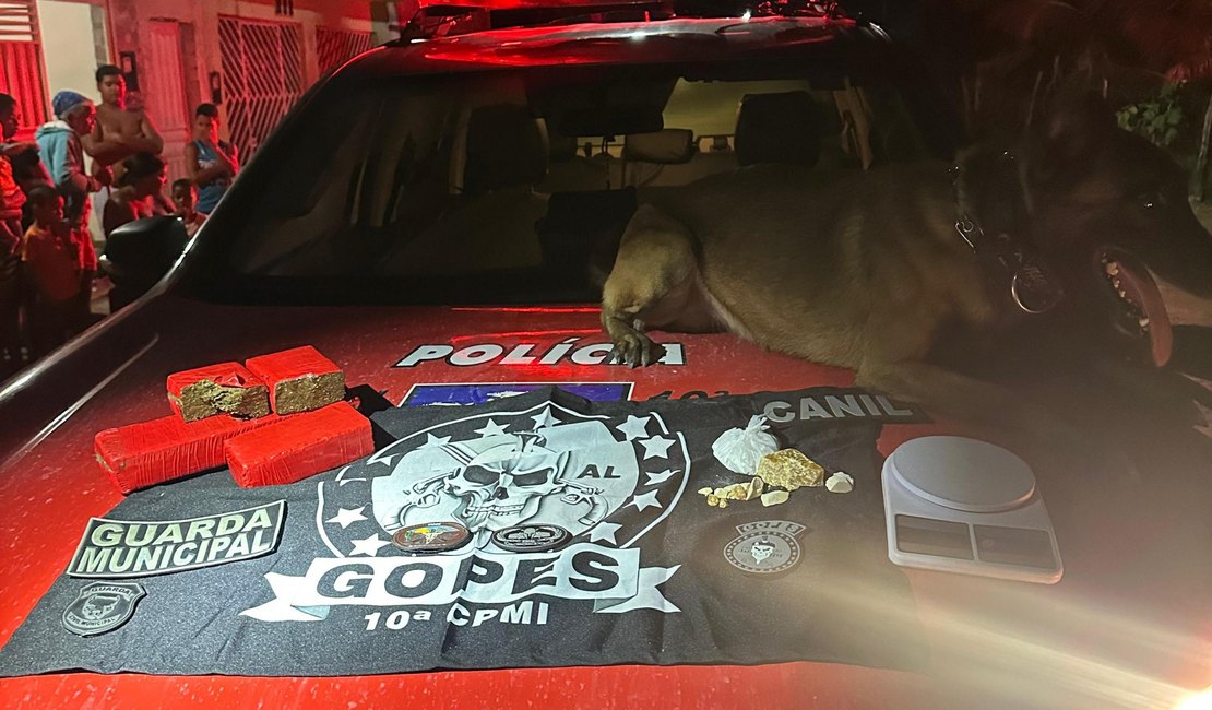 Chefe de facção criminosa é preso com mais de 2kg de drogas em Campo Alegre