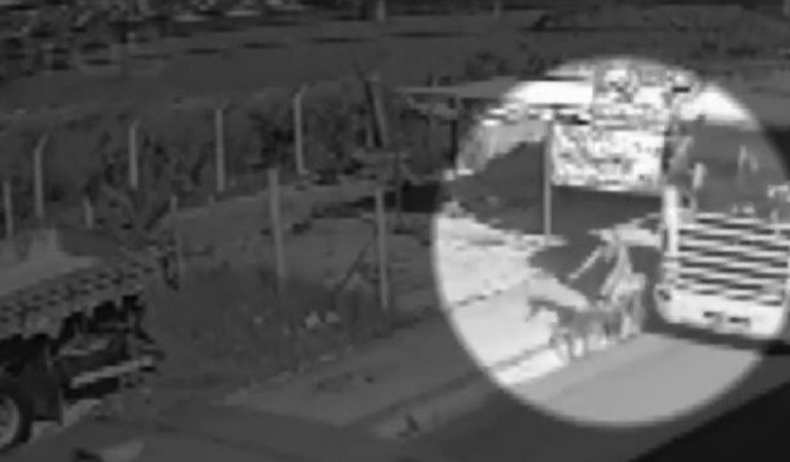 Vídeo mostra instante em que ciclista de 15 anos é atingida por carreta em Maceió