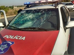 Ciclista faz zingue-zague na AL-220 e provoca acidente com viatura da PC