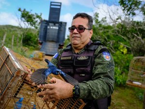 FPI do São Francisco devolve à natureza animais que estavam em cativeiros
