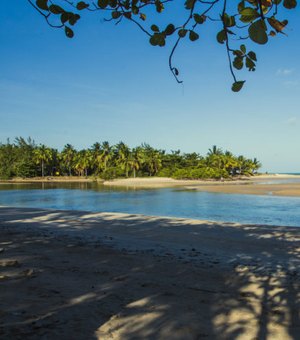 Verão Maragogi: Praia de Camacho é perfeita para quem curte calmaria