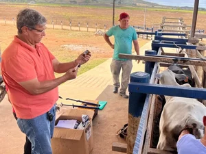 Programa Mais Pecuária Brasil melhora qualidade do rebanho bovino em Penedo