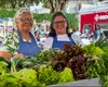 Circuito de Regional de Feiras movimenta o Agreste com sabores, cores e histórias do campo