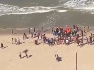 Criança de 11 anos é mordida por tubarão em praia de Pernambuco