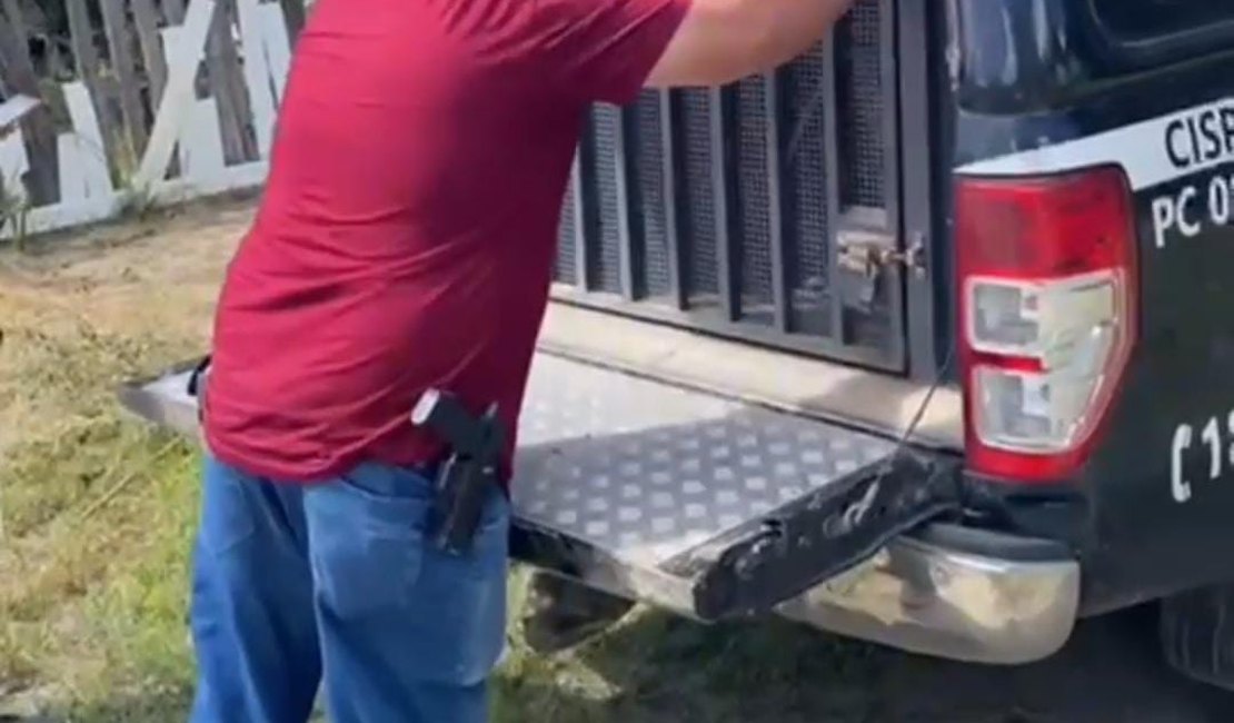[Vídeo] Polícia prende homem por crimes de maus-tratos e zoofilia em Murici