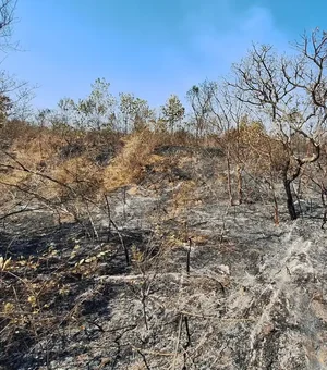 Mudanças climáticas já afetam 85% dos brasileiros, diz pesquisa