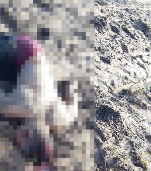 Homem é morto a pedradas em zona rural de Arapiraca