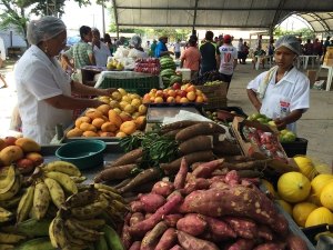Feira da Reforma Agrária faz parte da política de segurança alimentar em AL